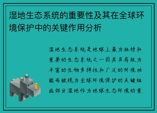 湿地生态系统的重要性及其在全球环境保护中的关键作用分析